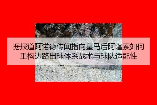 ju-bao-dao-a-nuo-de-chuan-wen-zhi-xiang-huang-ma-hou-a-long-suo-ru-he-zhong-gou-bian-lu-chu-qiu-ti-xi-zhan-shu-yu-qiu-2-858.jpg